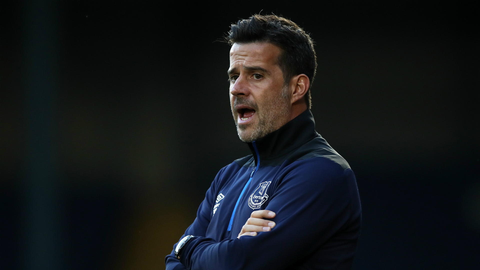 球迷中的 球迷中的